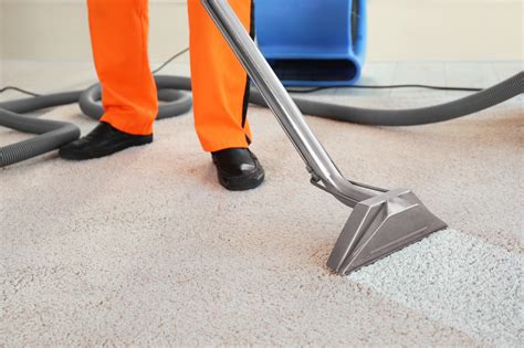 top  signs    professional carpet cleaning