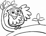 Owl Drawing Color Clipartmag sketch template