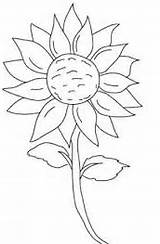 Bunga Matahari Mewarnai Dessiner Bagus Tournesol Dessein sketch template