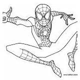 Spider Coloring Pages Man Miles Morales Verse Into Superhero Milesmorales Tagged Posted Printable sketch template