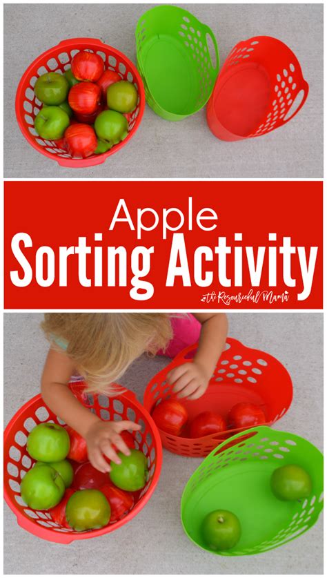 fun apple sorting activity  toddlers  resourceful mama