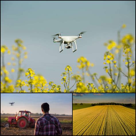 ways drones    agribusiness  profitable drone services canada