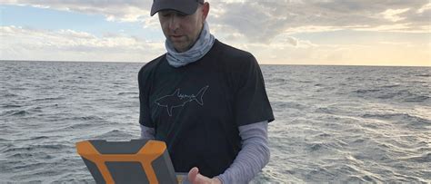 James Sulikowski Conducts Research To Learn Where Sharks Give Birth