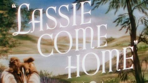 lassie come home alchetron the free social encyclopedia