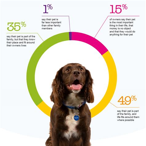popular pets   uk pet statistics petplan