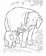 Elephant Coloring Pages Animals Baby Wild Kids Printable African Animal Mom Mother Print Drawing Sheets Zoo Colouring Elephants Activity Clipart sketch template
