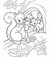 Coloring Squirrel Pages Printable Pattern Library Clipart Book sketch template