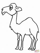 Camel Sad Coloring Pages Drawing Color Camels Mainstream Printable Animals sketch template