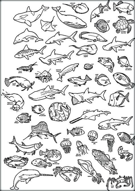 printable sea life stencils