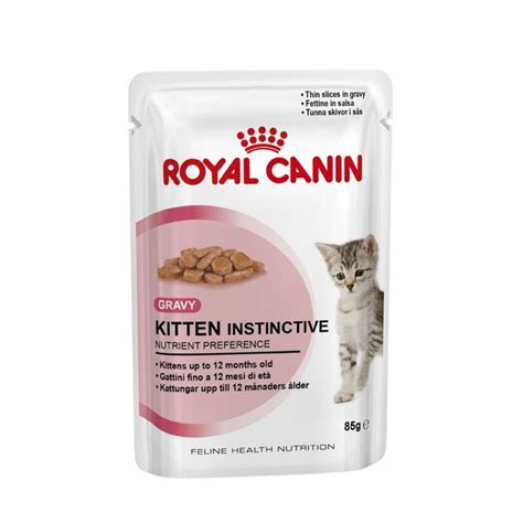 Kitten Instinctive Sauce