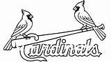 Cardinals Coloring Pages St Louis Color Getdrawings Printable Getcolorings sketch template