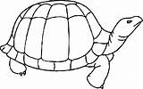 Coloring Turtle Tortoise Happy Wecoloringpage sketch template