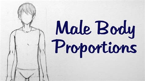 How To Draw Manga Male Body Proportions Youtube