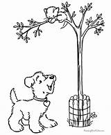 Arbor Coloring Pages Sheets Popular Dot Printable Coloringhome sketch template