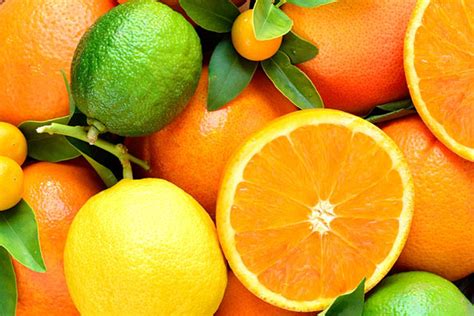 citrus information  news page