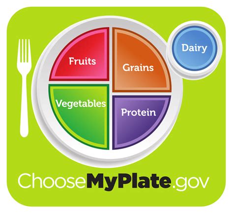 myplate    improved food pyramid  kids parent portfolio