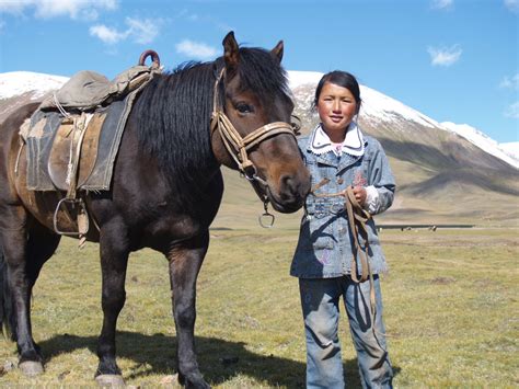 mongolian experiment    mongolian horses