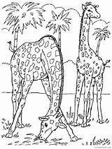Zoo Coloring Pages Coloring4free Animals Printable Entrance sketch template