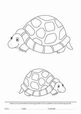 Topologici Concetti Infanzia Schede Didattiche Maestra Lamaestralinda Geografia Articolo sketch template