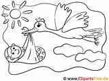 Storch Malen Malvorlage Stork Bemalen Vorlage Kinderbilder Children Ausmalbilder Malvorlagan Bodys Malvorlagenkostenlos sketch template