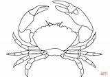 Crab Coloring Pages Drawing Outline Printable Line Crabs Public Domain sketch template