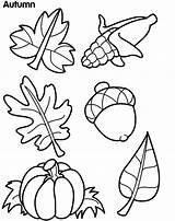 Autumn Leaf Outline Leaves Cliparts Fall Coloring Pages Drawing Printable Clip Colouring sketch template