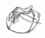 Saddle Dragon Drawing Deviantart Western Rider Eragon Getdrawings sketch template