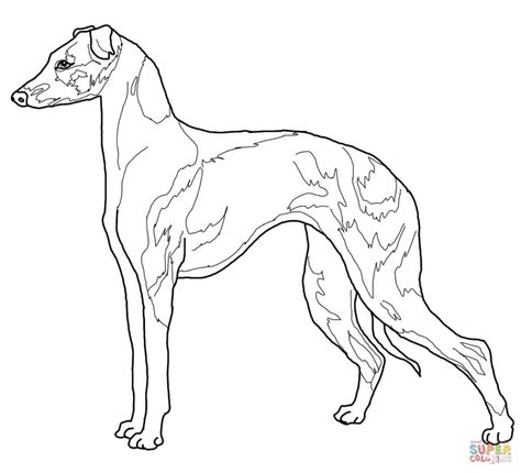 hound dog coloring pages  getdrawings