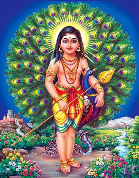 hindu god subramanya swamy images pictures  hd wallpapers gallery
