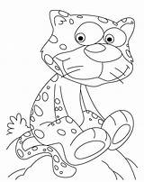 Gepard Ausdrucken Malvorlagen sketch template