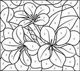 Color Flowers Coloring Number Numbers Online Pages Flower Paint Tropical Hard Printable Plumeria Kids Sheets Games Printables Adult Malvorlagen Colour sketch template