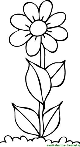 flower coloring pictures