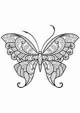 Butterfly Coloring Patterns Mandala Pages Choose Board Color sketch template