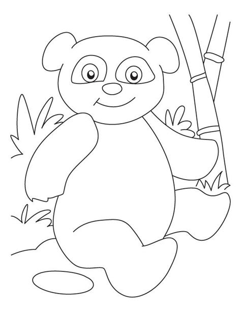 baby panda coloring pages coloring home