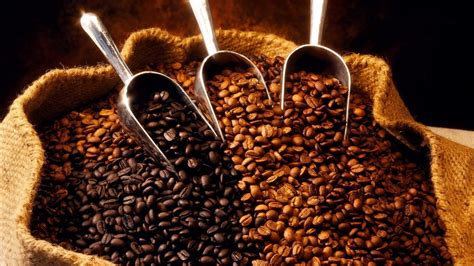 svet zanimljivosti uz soljicu kafe vrste kafe koje vrste postoje  koje su njihove razlike