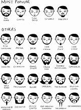Beard Types Styles Facial Hair Beards Movember Sketches1 Names Mustache Chartgeek Drawing Apron Moustache Barber Elements Grooming Unexpected Clean Bathroom sketch template