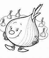 Onion Coloring Pages Fruits Vegetables Template Color sketch template