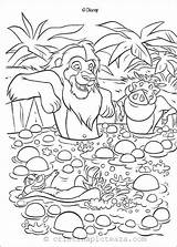 King Simba Kleurplaat Leeuwenkoning Kleurplaten Regele Leu Disney Colorir Timon Colorat Pumba Leao Rei Planse Sauna Culoare Zo Roi Coloriage sketch template