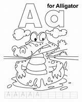 Coloring Alligator Pages Kids Printable Letscolorit Letter Colouring Alphabet Letters Books Apple sketch template