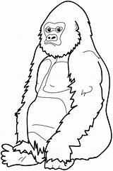 Gorilla Coloring Pages Clipart Cute Cartoon Clip Baby Cliparts Face Gorillas Sitting River Craft Printable Monkey Down Library Animal Kids sketch template