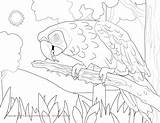 Macaw Coloring Scarlet Hyacinth Pages Color Kids Facts Getcolorings Result Printable Print sketch template
