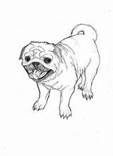 Mops Ausmalbilder Pug sketch template