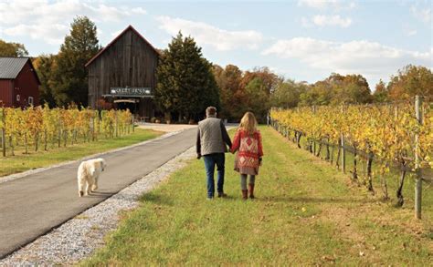 chesapeake farm  fork travel   wine trail  anne arundel