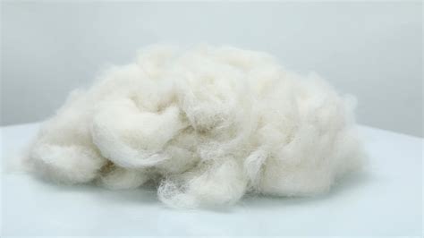 wholesale cheap price raw wool washed sheep wool noils  sale buy