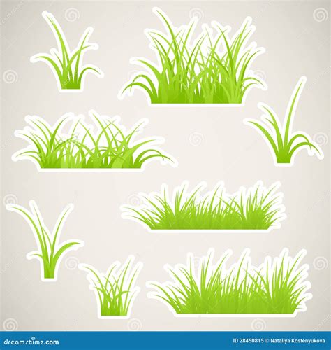 paper grass royalty  stock photo image