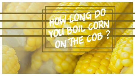 How Long Do You Boil Corn On The Cob