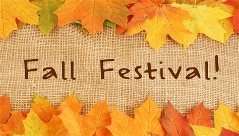 galt fair fall festival proceeds  benefit local park