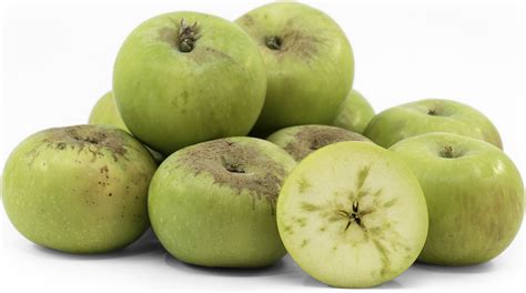 bramley apples information recipes  facts