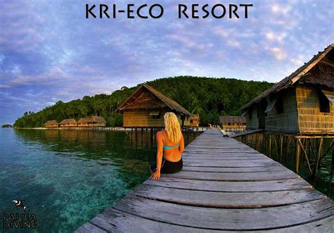 Promo [90 Off] Raja Ampat Dive Resort Indonesia Hotel