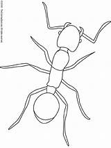 Ant Coloring Pages Fire Fourmi Coloriage Color Printable Colouring Kids Leaf Cutter Imprimer Template Insect Print Insects Ants Animals Lightupyourbrain sketch template